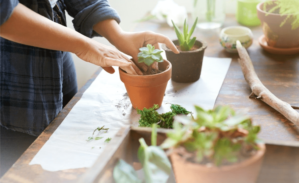 What Side Hustles Can a Gardener Do?